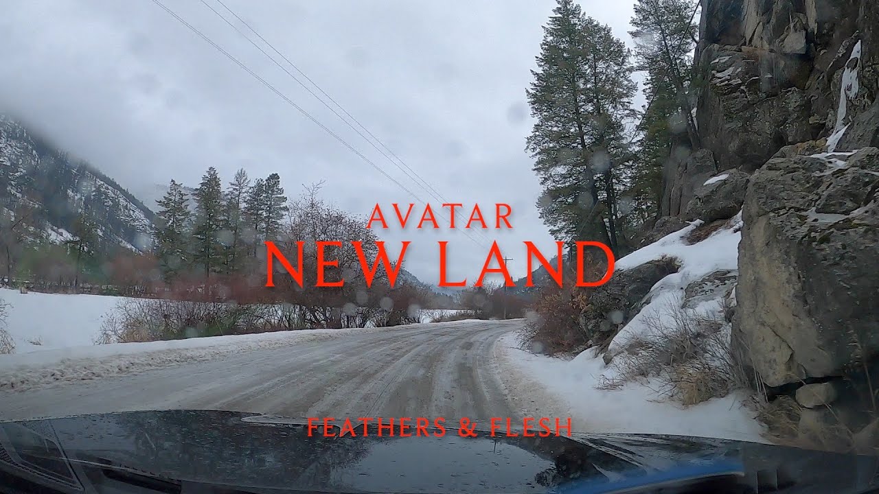 Avatar - New Land (Lyrics)