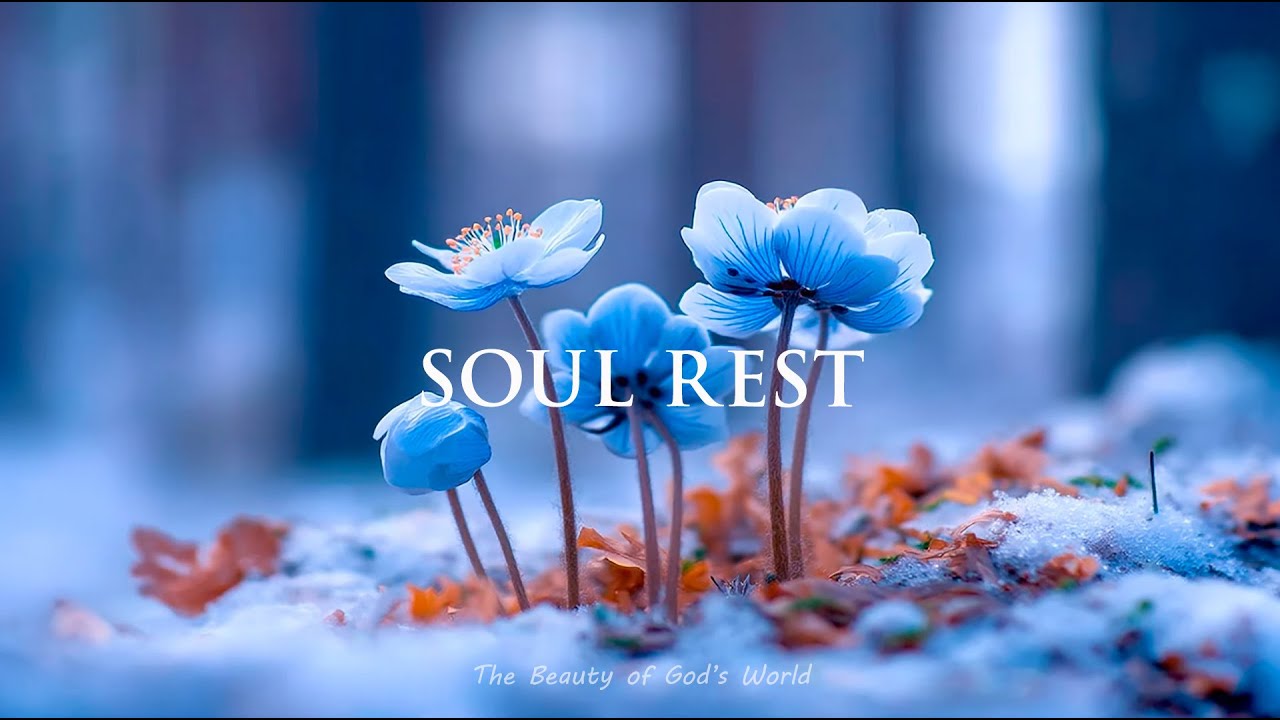 Soul Rest | Christian Meditation Music for Deep Peace, Prayer & Quiet Reflection