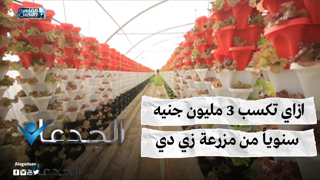 ازاي تكسب ٣ مليون جنيه سنويا من مزرعه زي دي !!