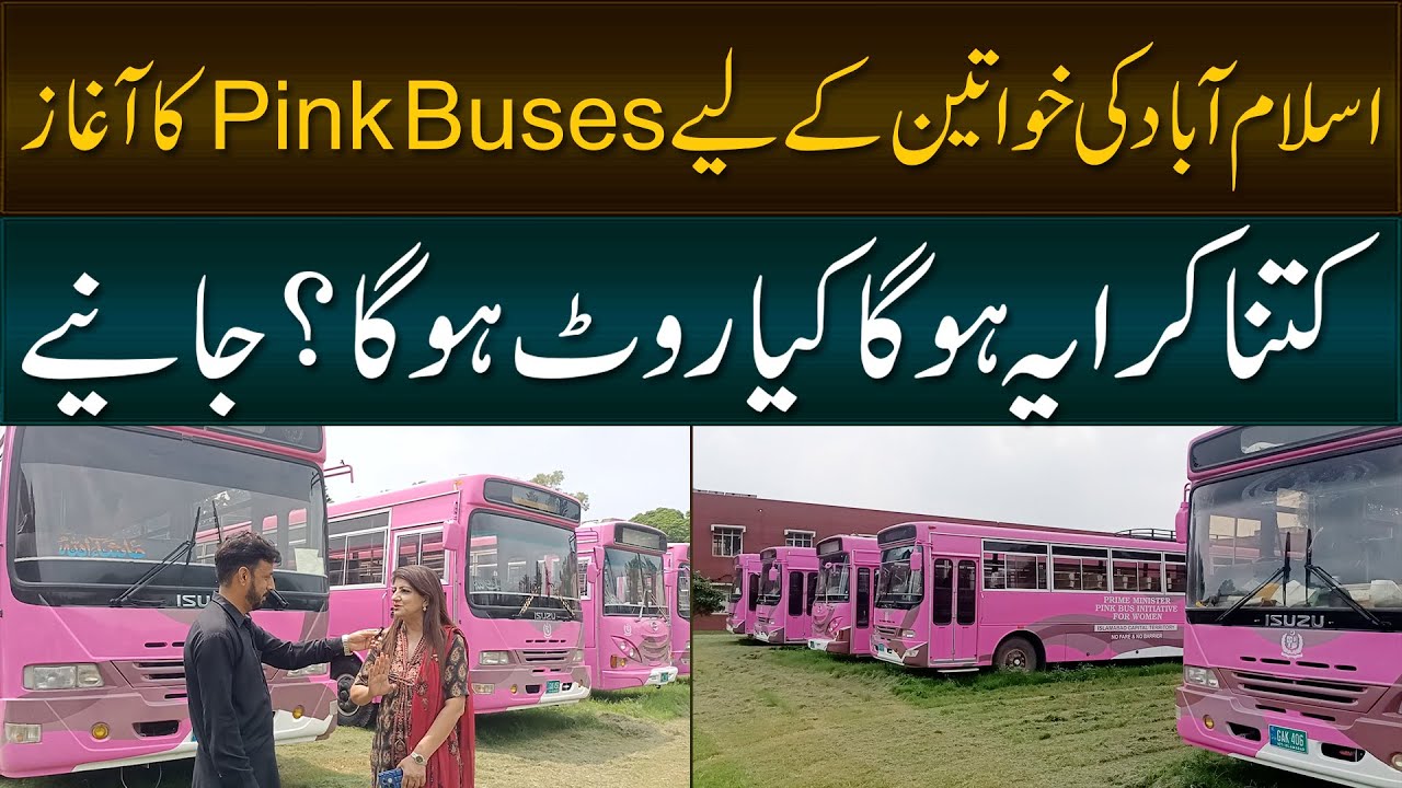 Islamabad main Ladies ke liye Pink Buses ka Aghaz hone laga | Daily Point