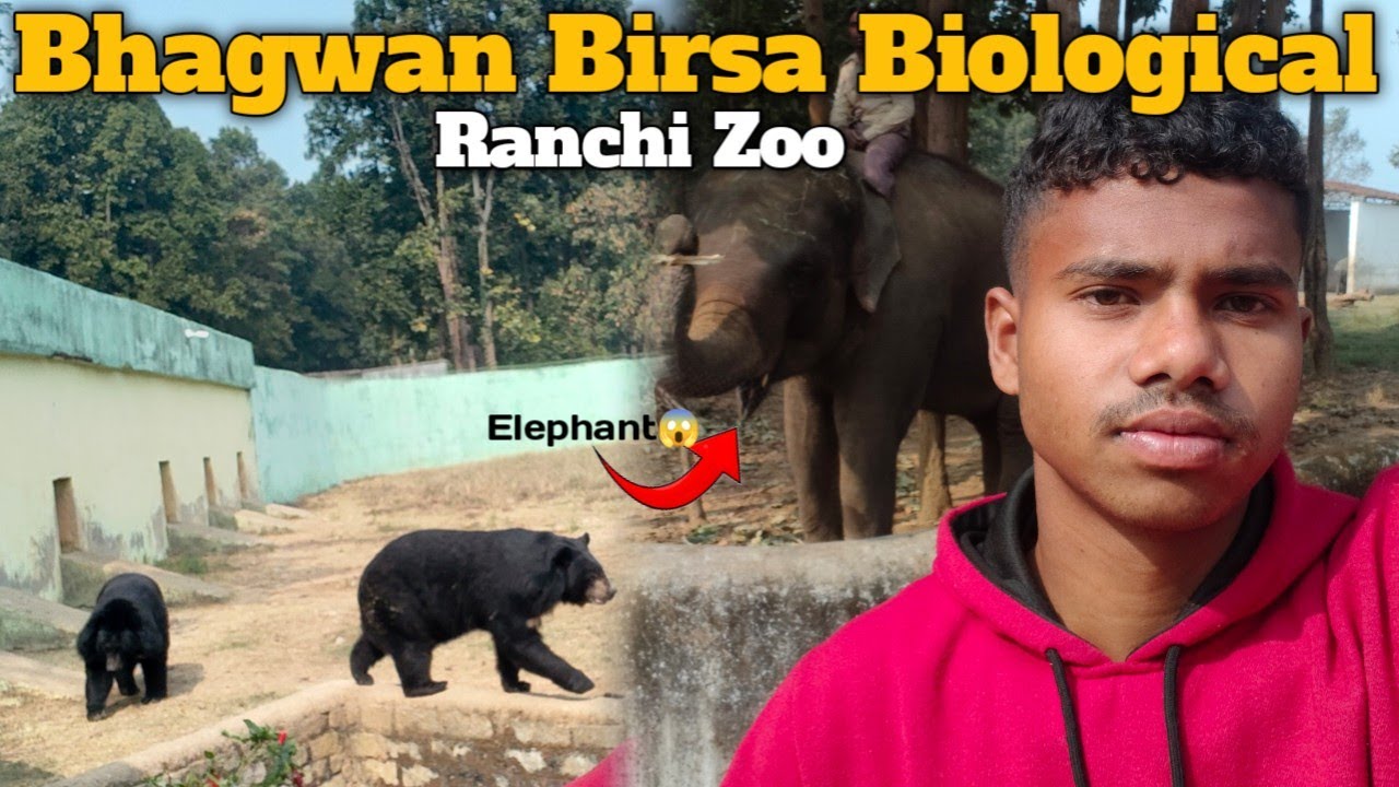 Bhagwan Birsa Biological ||Ranchi Zoo||Zoo Tour||NARAYAN VOLGS||
