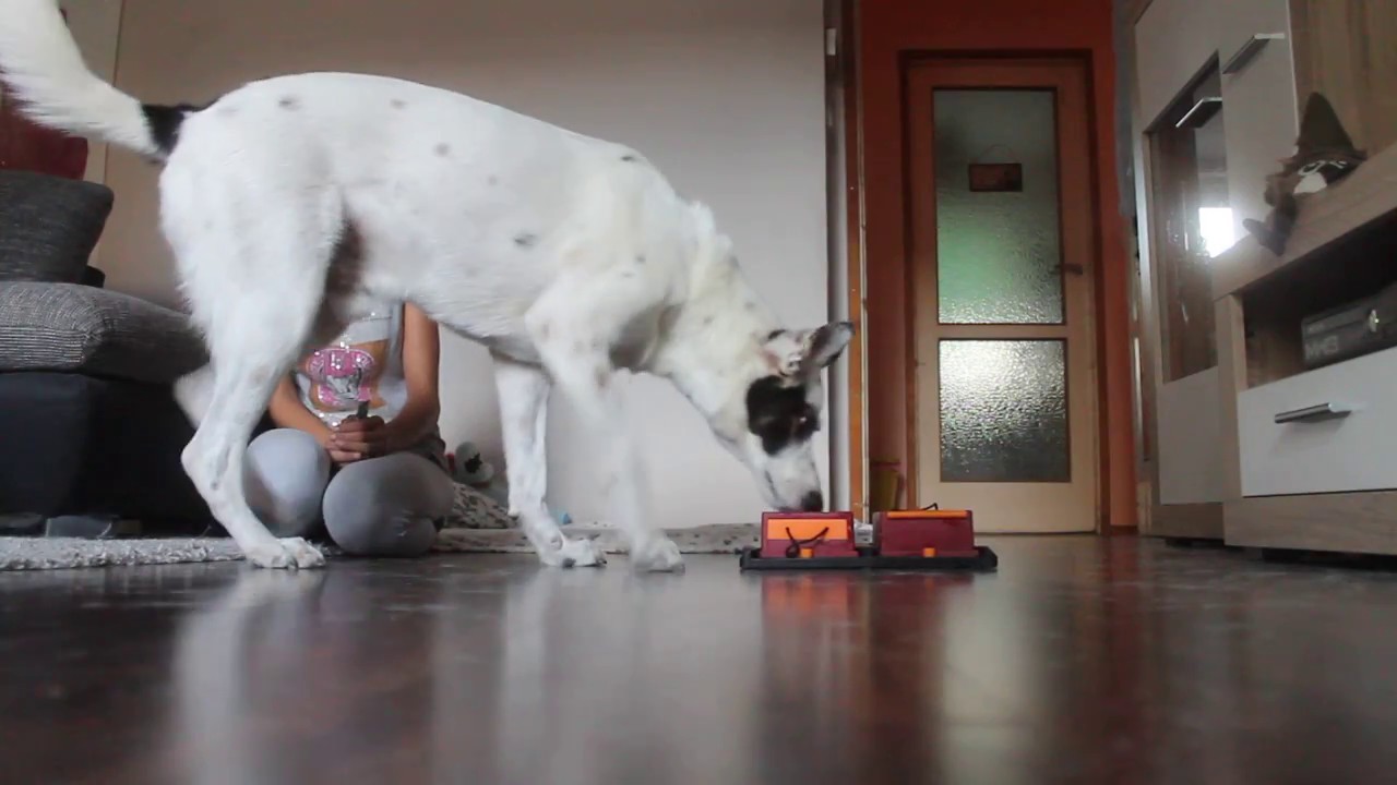 Kopftraining Felix