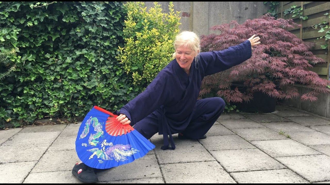 Die inneren Kampfkünste - Wudang Pai (Gong Fu, Lebenspflege, Qi Gong im Ruhrgebiet)