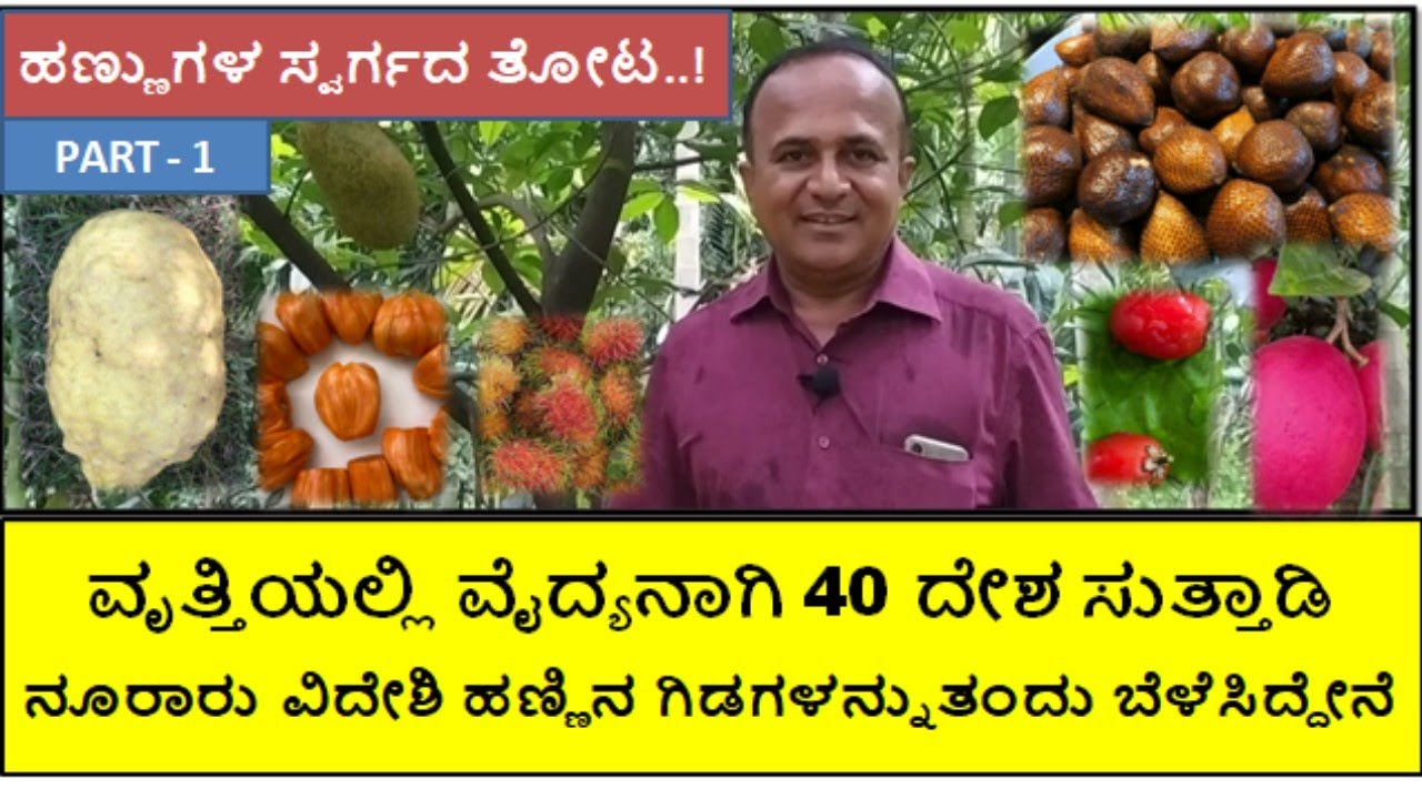 ಇಂಗ್ಲೆಂಡ್ ನಲ್ಲಿ ವ್ಯಾಸಂಗ ಮಾಡುತ್ತಿದ್ದಾಗ ಕೃಷಿಯಲ್ಲಿ ಆಸಕ್ತಿ ಬಂತು ಈಗ ನೂರಾರು ವಿದೇಶಿ ಹಣ್ಣಿನ ಗಿಡಗಳು ಇವೆ
