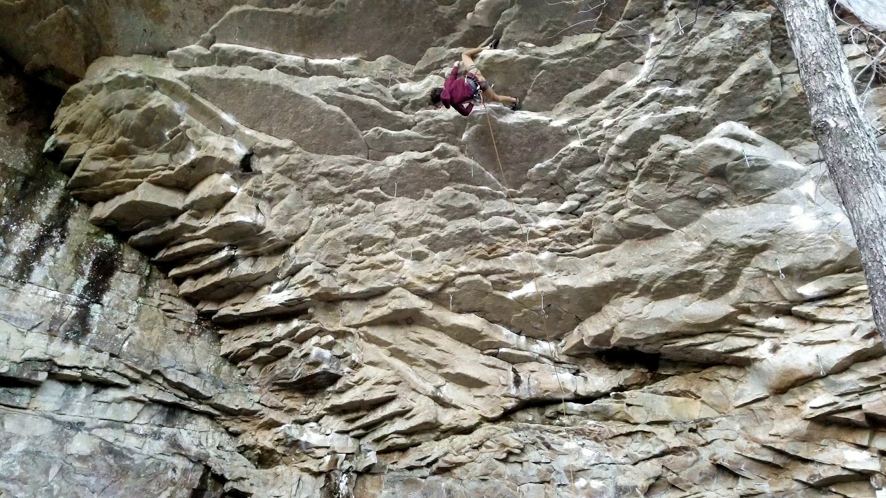 Eclipse 12c/d, Foster Falls, TN