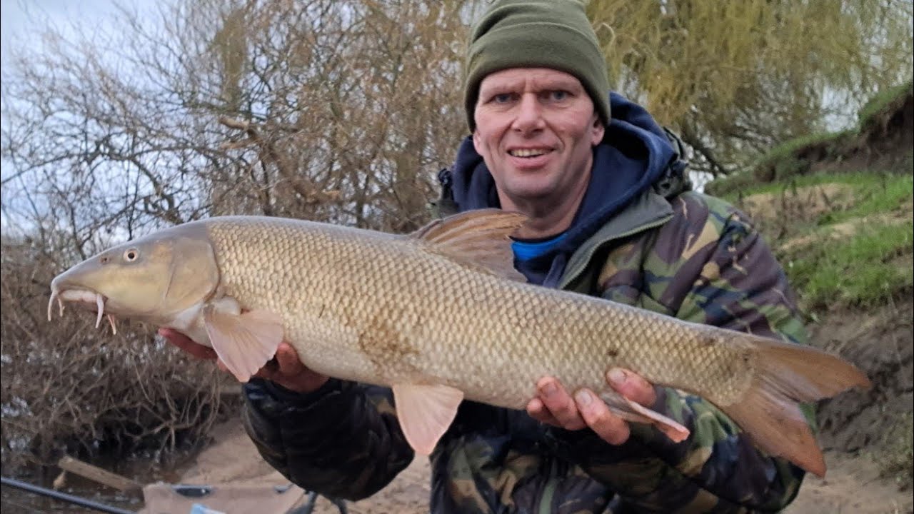 March Barbel Fishing, Yorkshire Ouse