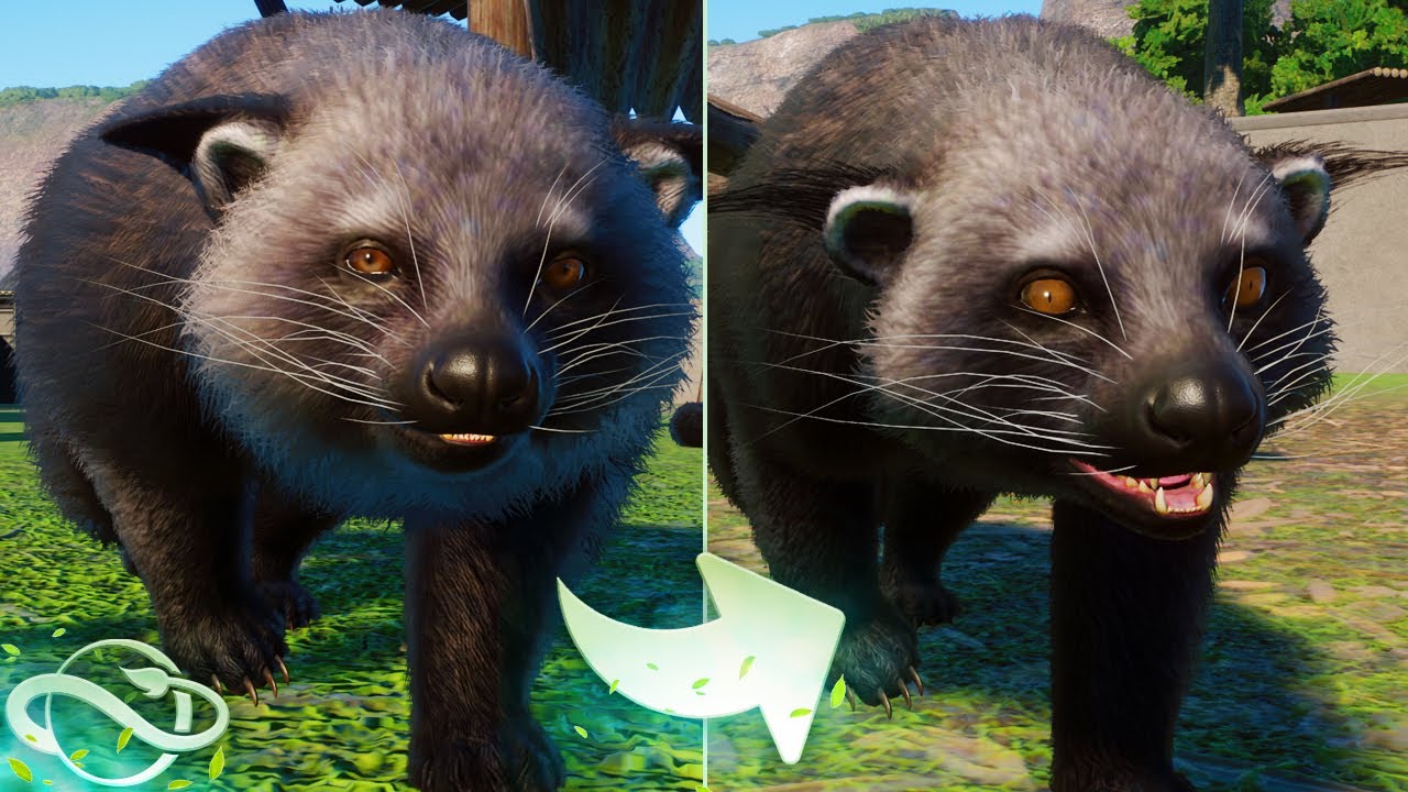 The Binturong Update! Remodelled Animal In Game! | Planet Zoo Southeast Asia Pack