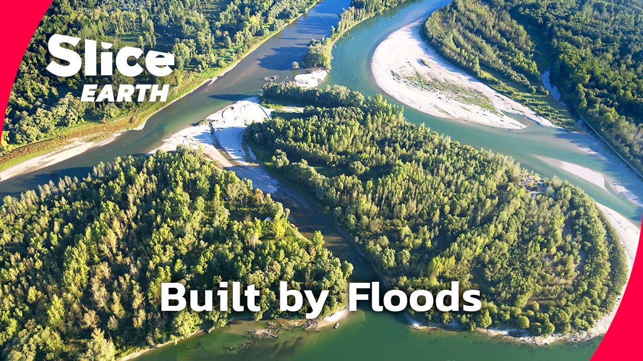 Croatia&rsquo;s Rivers Still Flow Free and Wildlife Depends on It |&nbsp;SLICE EARTH | FULL DOC