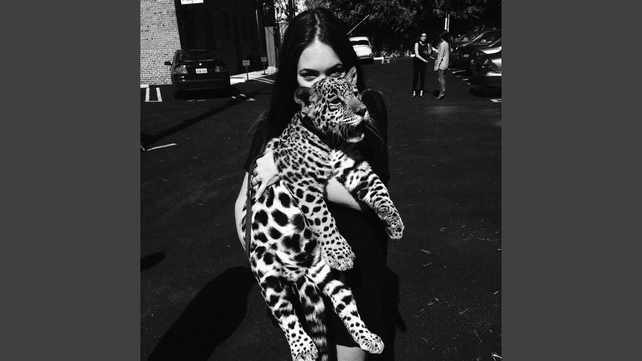 kraskami raznymi x hoodtrap