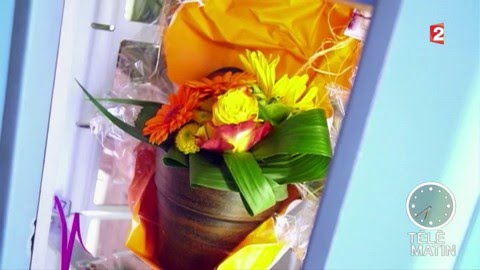 Jardin - Des fleurs 24h/24