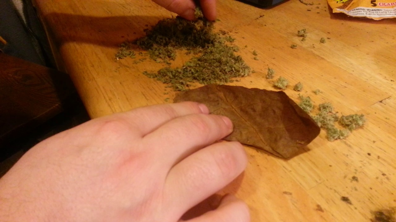 How To Roll a BACKWOOD (the Better Way)