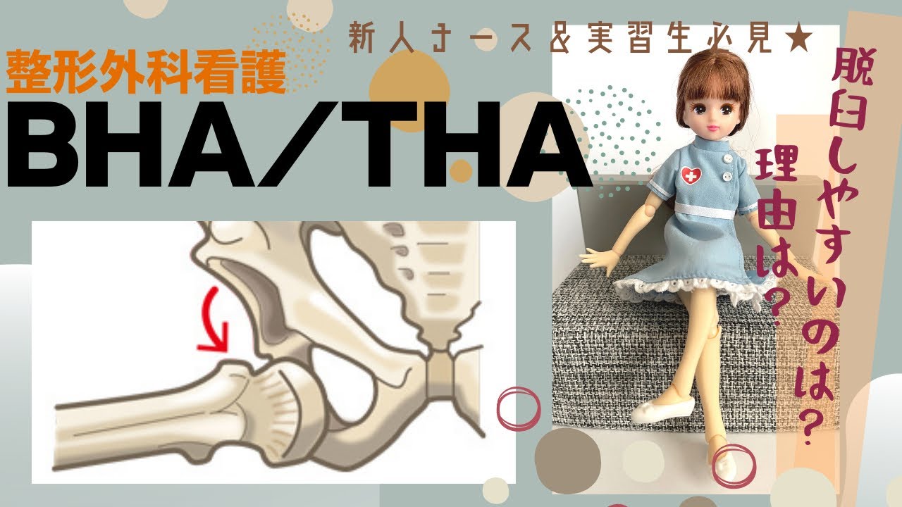 BHAとTHA脱臼しやすいのは？理由は？【整形外科看護】動画で勉強★#看護師#新人ナース