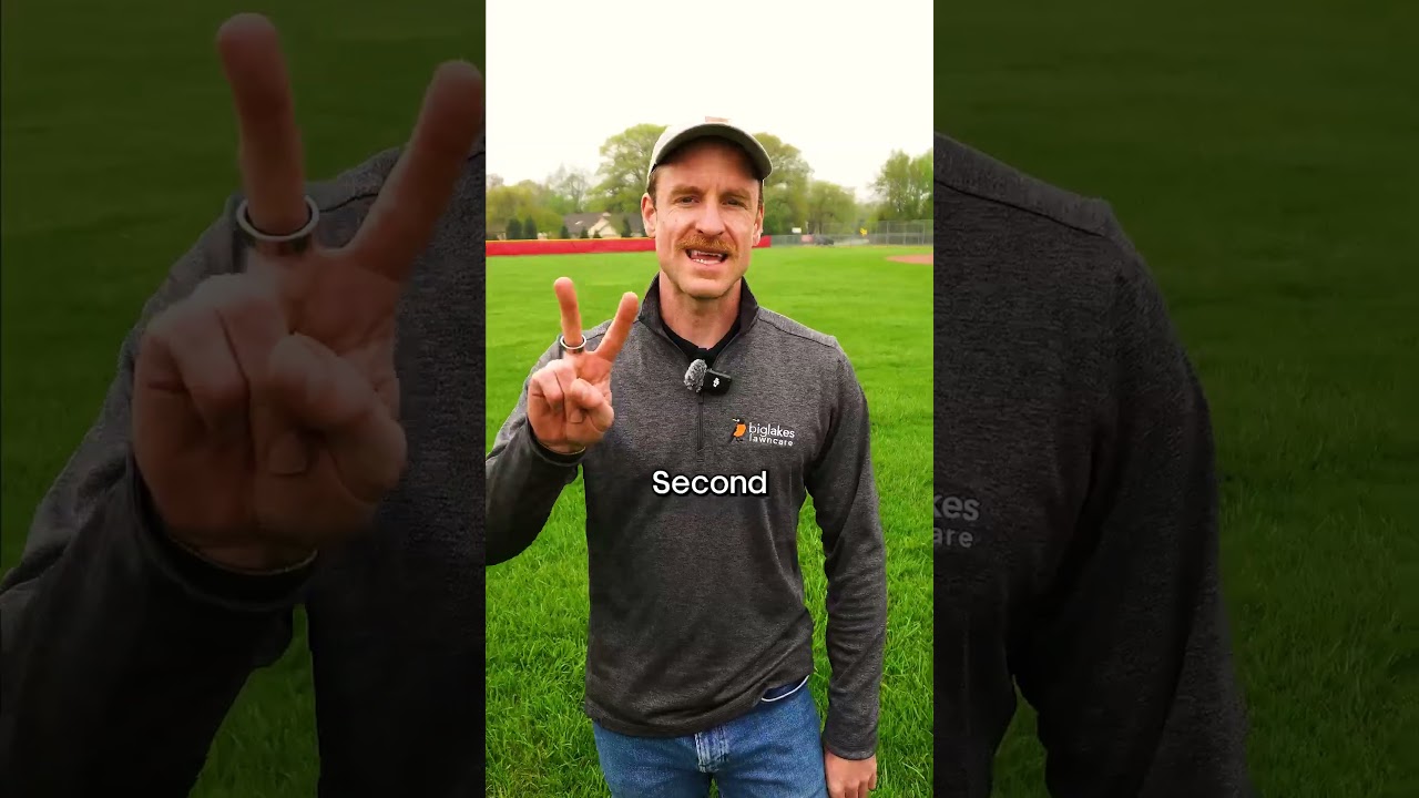 How to Cut Wet Grass Without Damage!