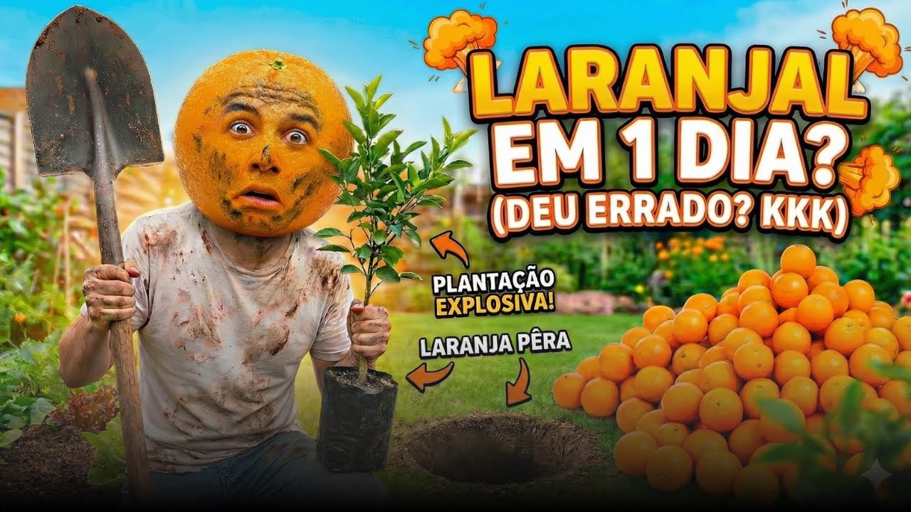 Plantando pé de laranja pêra episódio #005