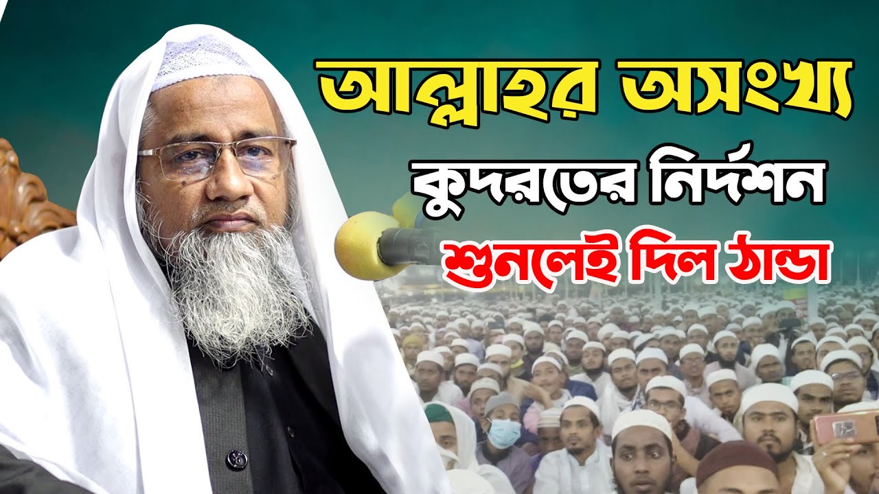 আল্লাহর অসংখ্য কুদরতের নির্দশন  | Bangla waz 2021 | Mufti Dilawar Hossain Tafsir 2021