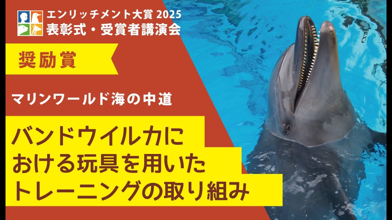 【エンリッチメント大賞2025表彰式・受賞者講演会】奨励賞　マリンワールド海の中道「バンドウイルカにおける玩具を用いたトレーニングの取り組み」