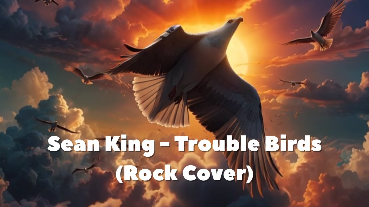 Sean King - Trouble Birds (Rock Cover)