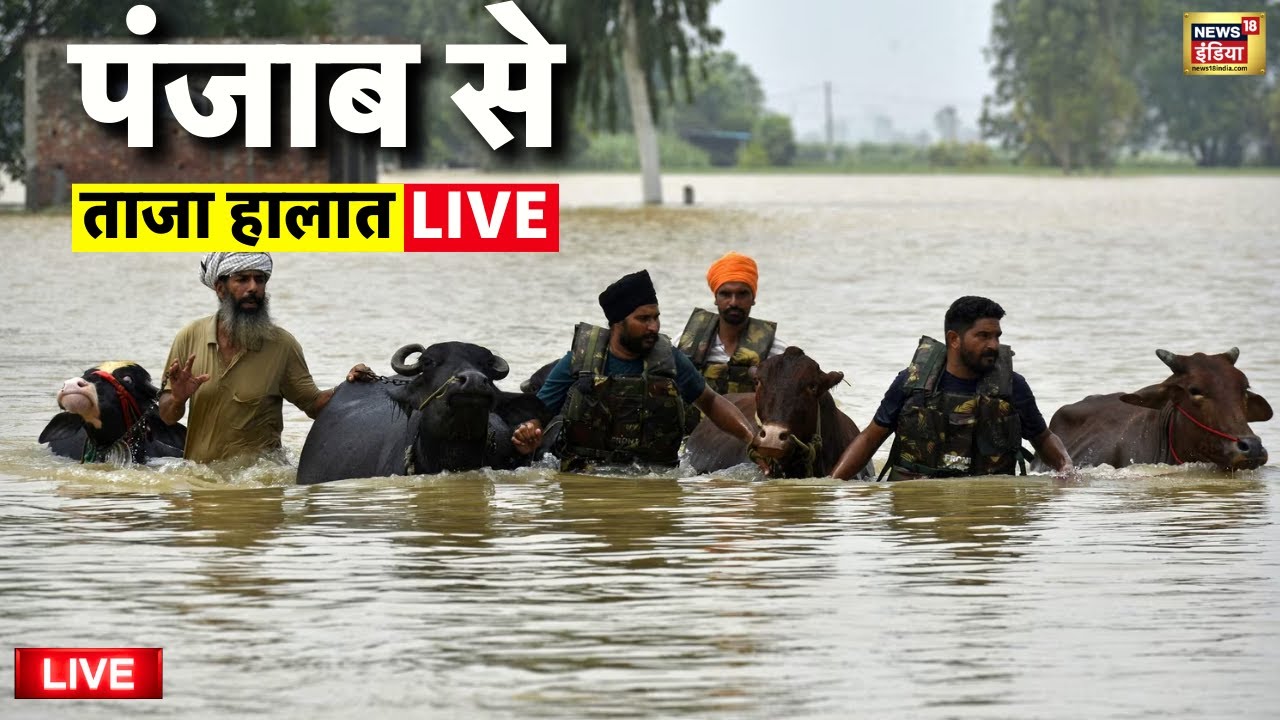 🟢Punjab Flood Update Live: पंजाब में बद से बदत्तर हालात | Heavy Rain in Punjab | Weather Latest News