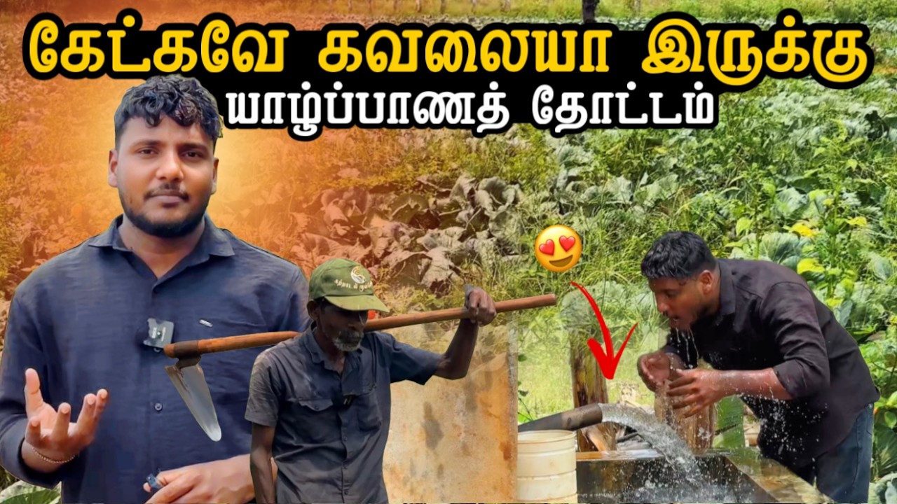 கேட்கவே கவலையா இருக்கு 🥲 | யாழ்ப்பாணத் தோட்டம் | Jaffna Garden Tour | Pavaneesan