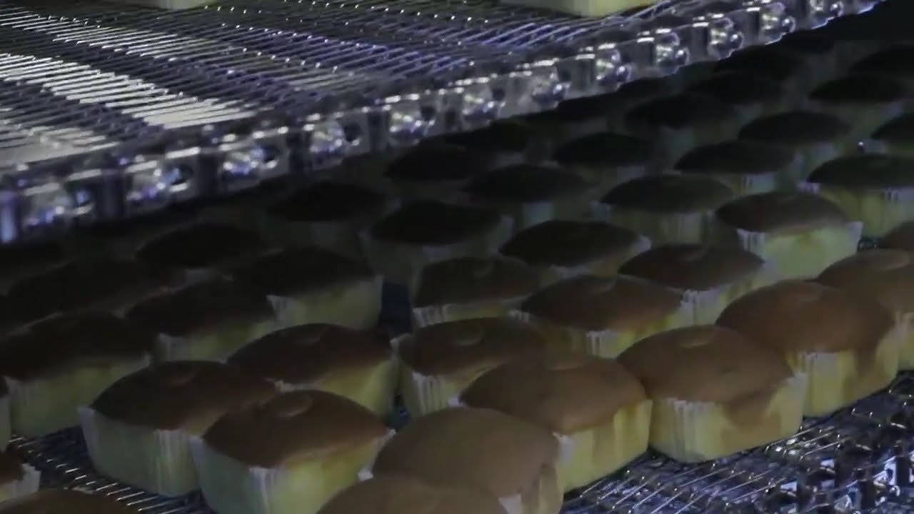 Industrial peach cake production equipment/haaschi cake machinery manufacturer