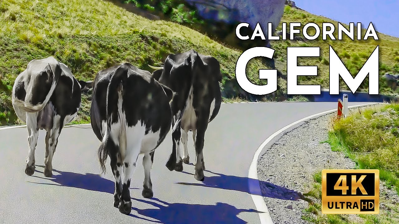 Driving California Coast Gems: Cypress Tree Tunnel - Point Reyes Lighthouse - Chimney Rock. 4k Video