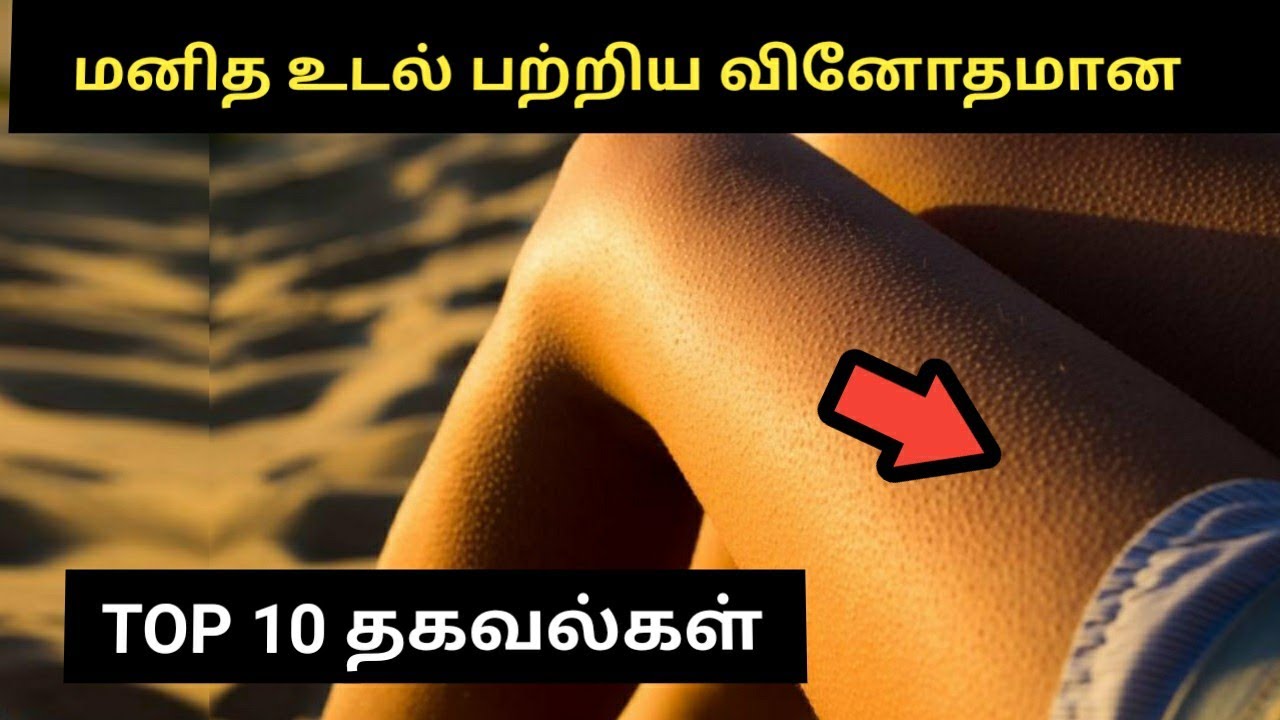 மனித உடல் பற்றிய தகவல்கள் | Human body facts in tamil