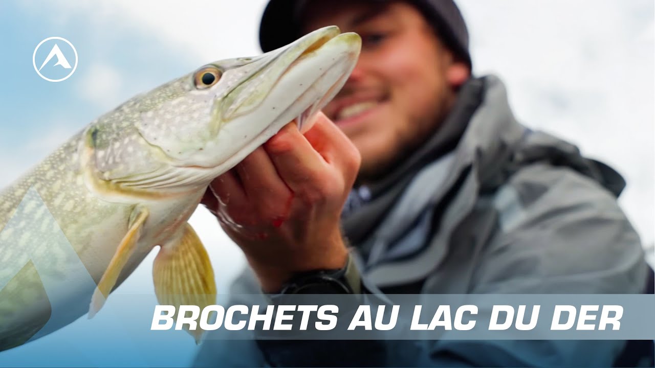 Pêche du brochet aux leurres sur le Lac du Der