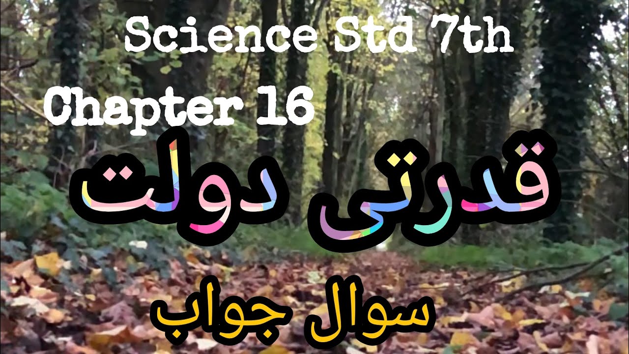 URDU Medium | Science Std. 7th | Chapter 16 - Qudrati Daulat l | Sawal Jawab| قدرتی دولت|سوال و جواب