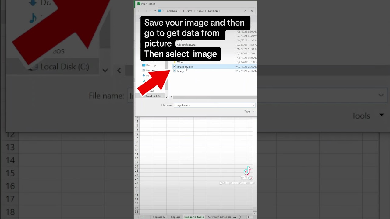 Excel tip to convert image to data table with get data from picture