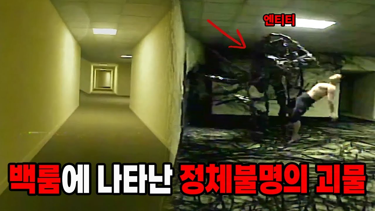 백룸에 나타난 정체불명의 괴물 ( 소름주의 ) 