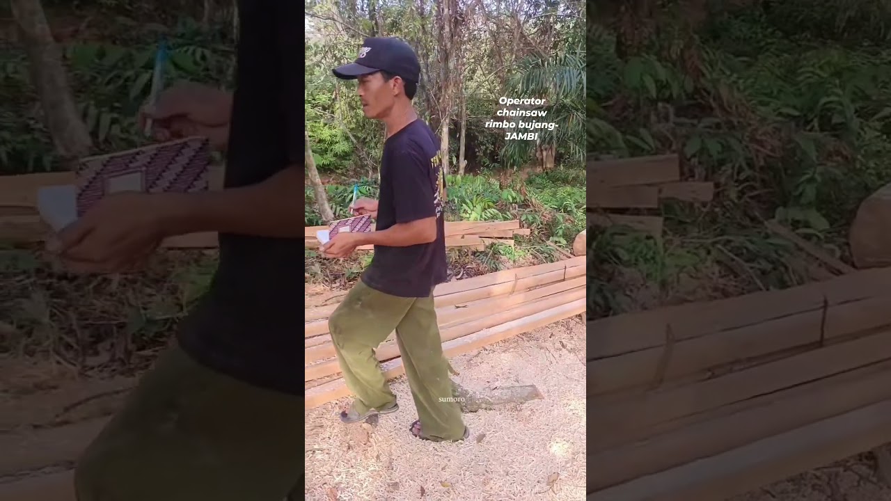 Proses penghitungan Sore ini dapat berapa kubik🤣🤣 #operatorchainsaw #woodworking #viralvideo 