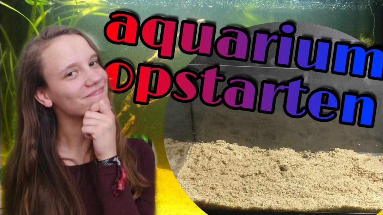 Een NIEUW AQUARIUM opstarten, Stap voor Stap een Aquarium indraaien //Nickey//