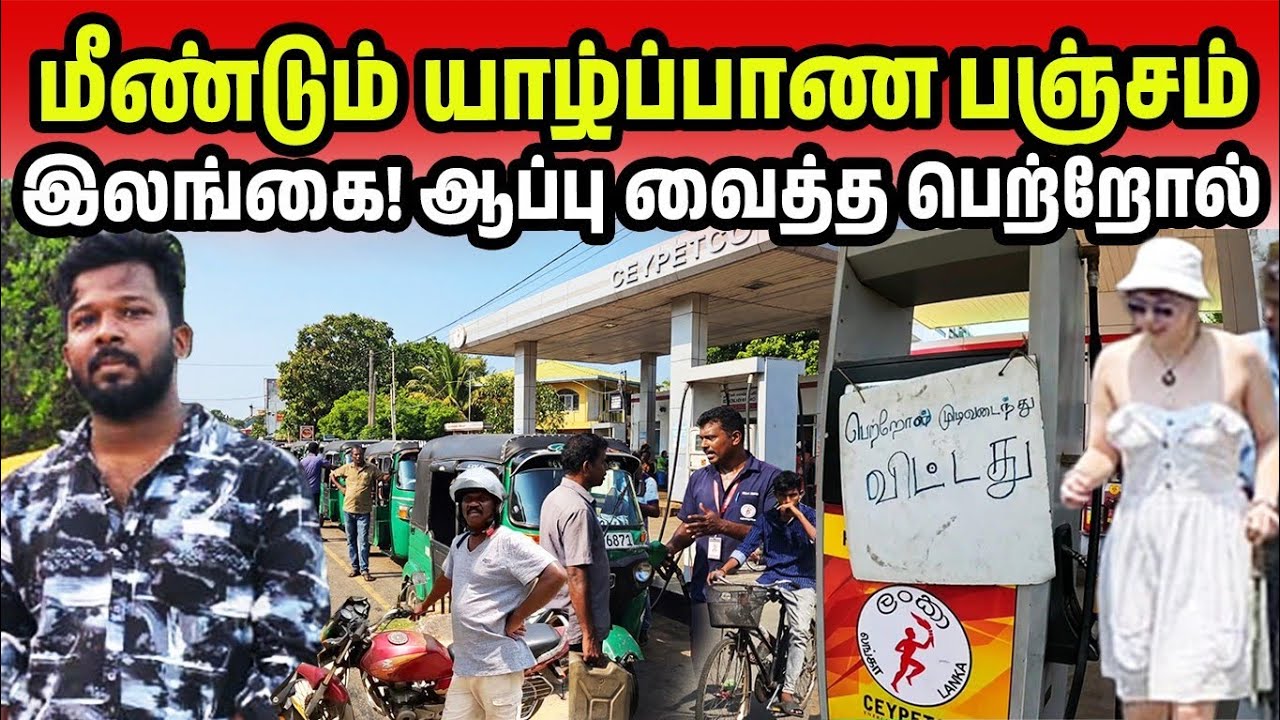 யாழ்ப்பாண நகரத்தின் மோசமான நிலை | Jaffna Situation Now | Jaffna Suthan