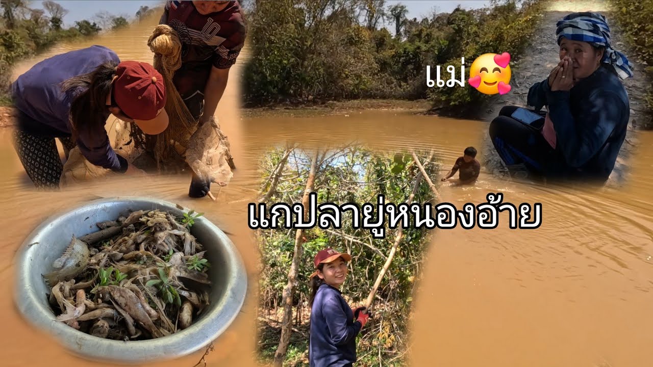 ຕົ້ມປາໃສ່ໄຂ່ມົດແດງ//ต้มปลาใส่ไข่มดแดง