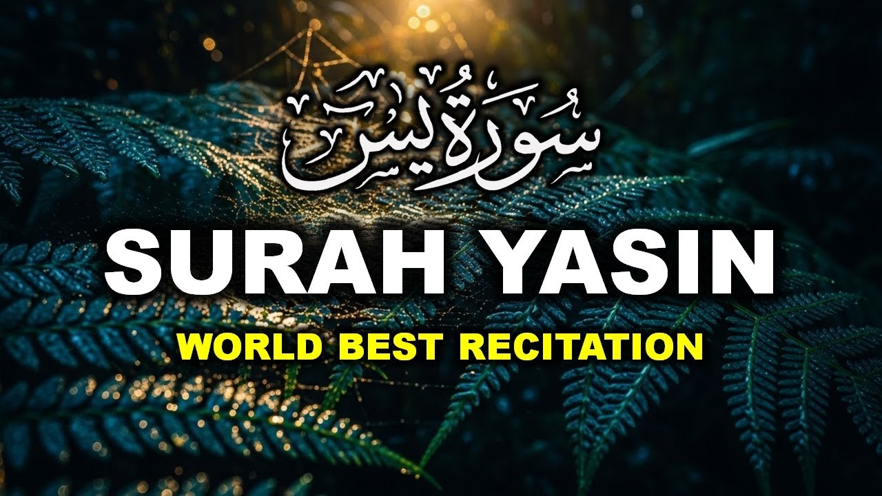 Surah Yasin (Yaseen) سورة يس | Beautiful voice heart touching