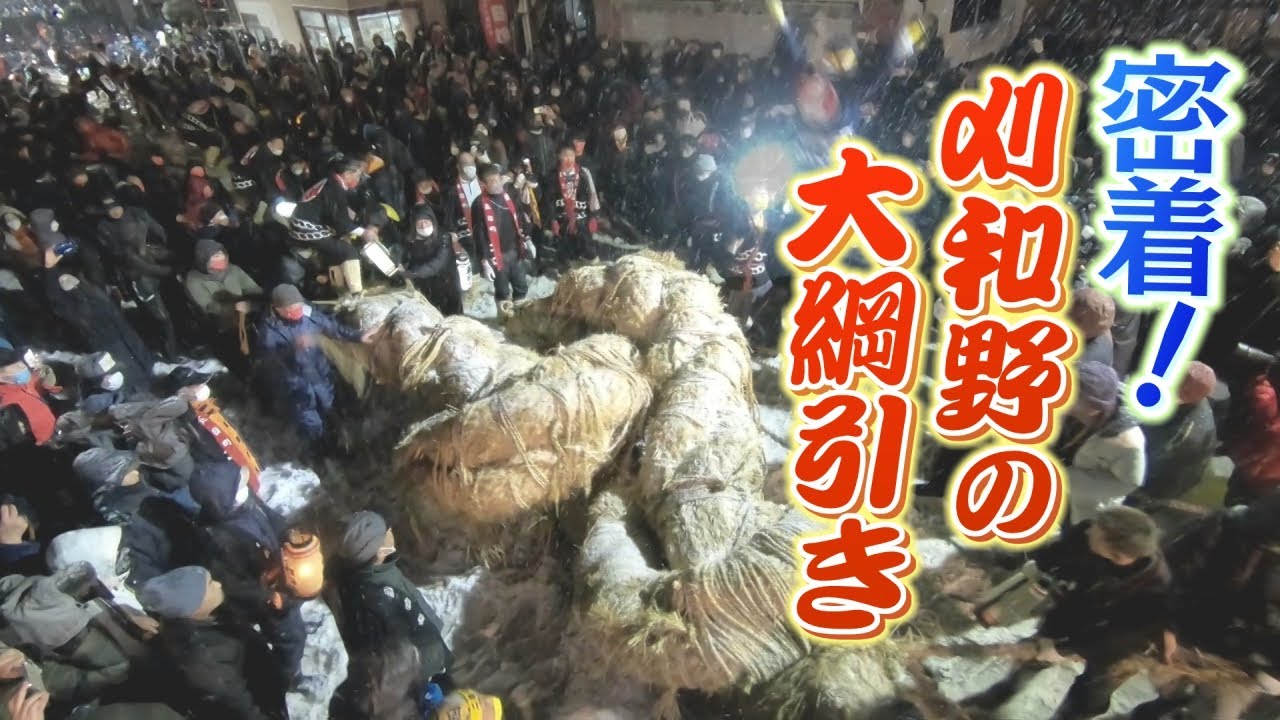 密着！刈和野の大綱引き