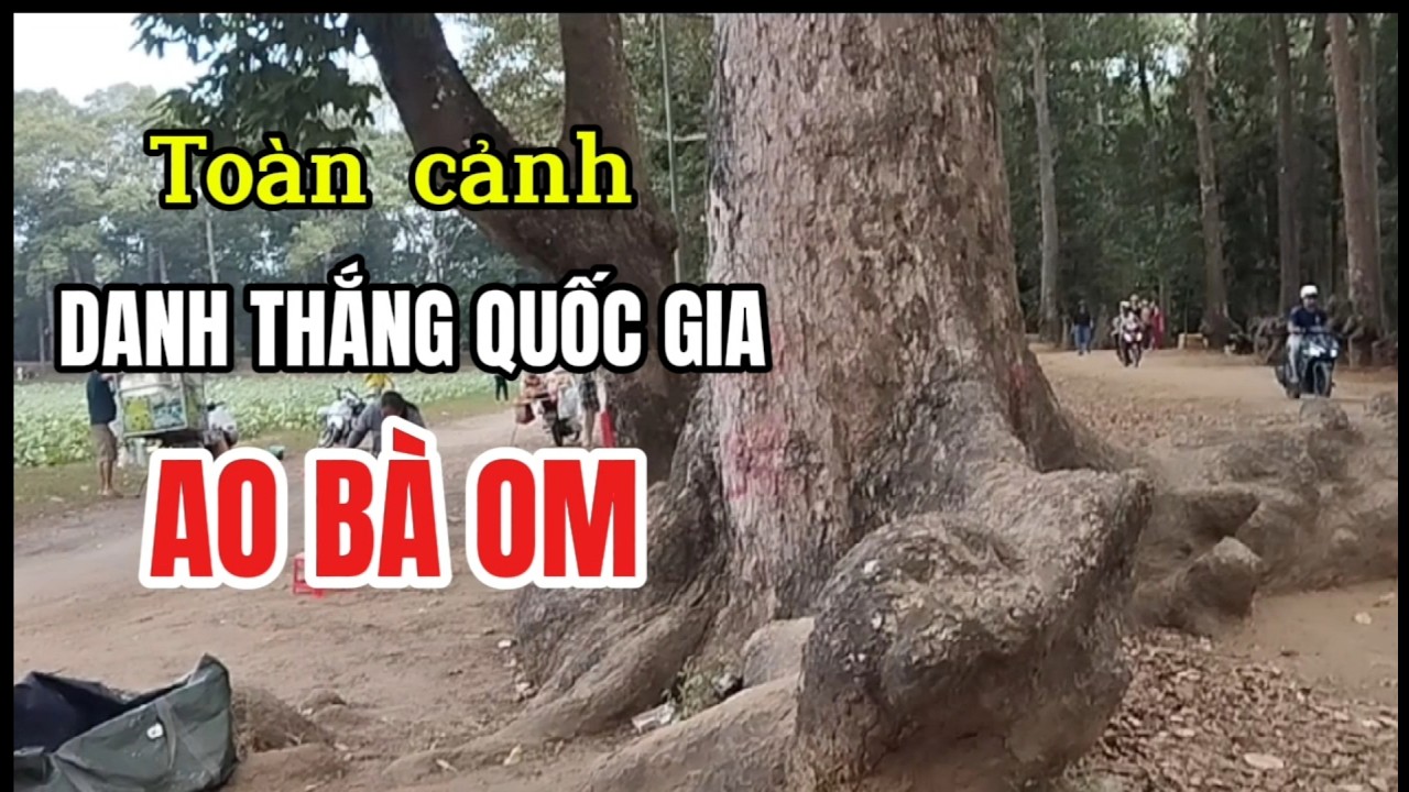 Ao Bà Om Trà Vinh- Danh Thắng Quốc Gia - Điểm Du Lịch Sinh Thái Tuyệt Vời|Luận Xã Hội