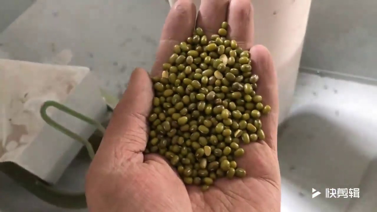Green mung bean cleaner Air Screen gravity table De stone separate Polishing Packing machine #canton