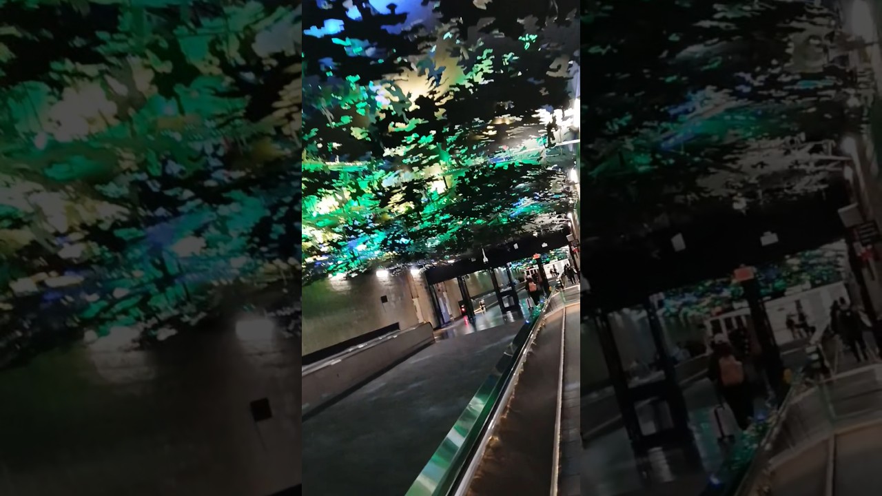 #fypシ゚ #atlanta #airport