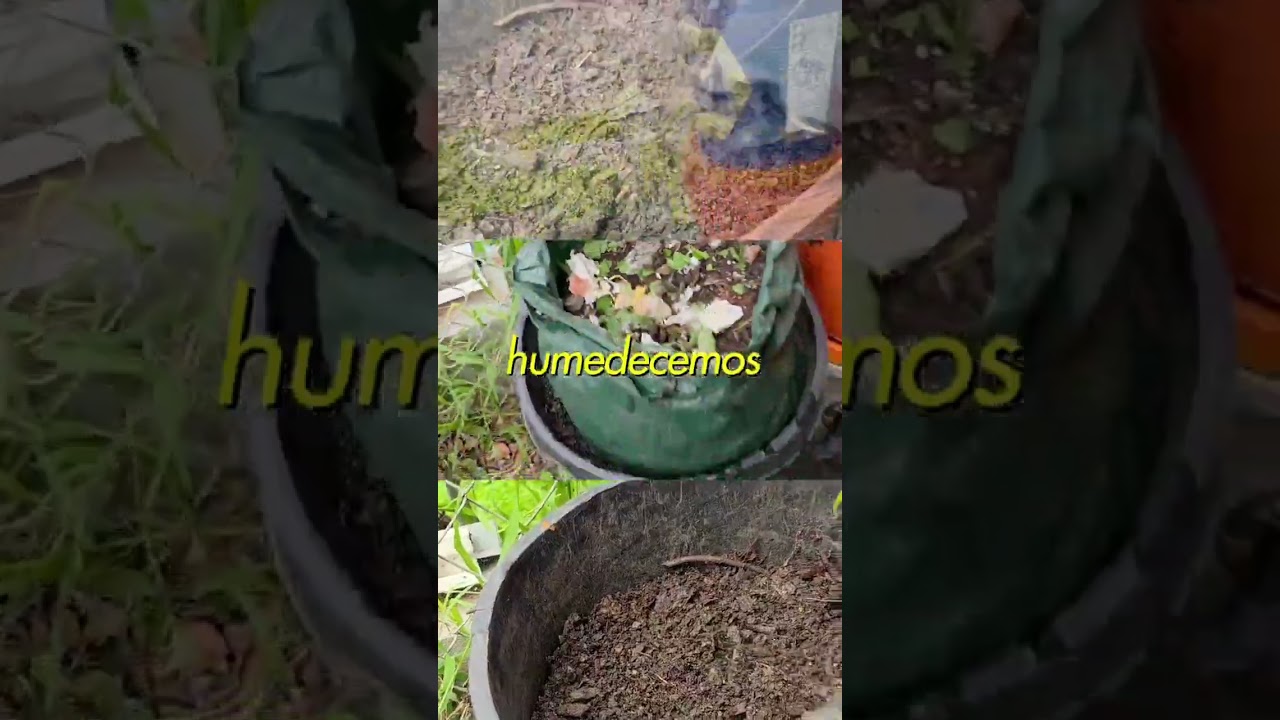 ✨️creacion e tierra de hojas, con muy buenos resultados, video completo canal 