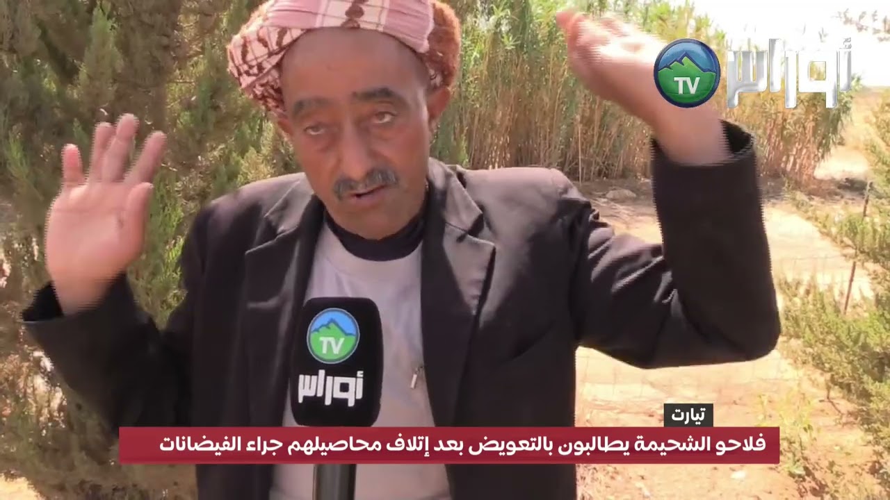 #تيارت فلاحو الشحيمة بتيارت يطالبون بالتعويض بعد إتلاف محاصيلهم جراء الفيضانات