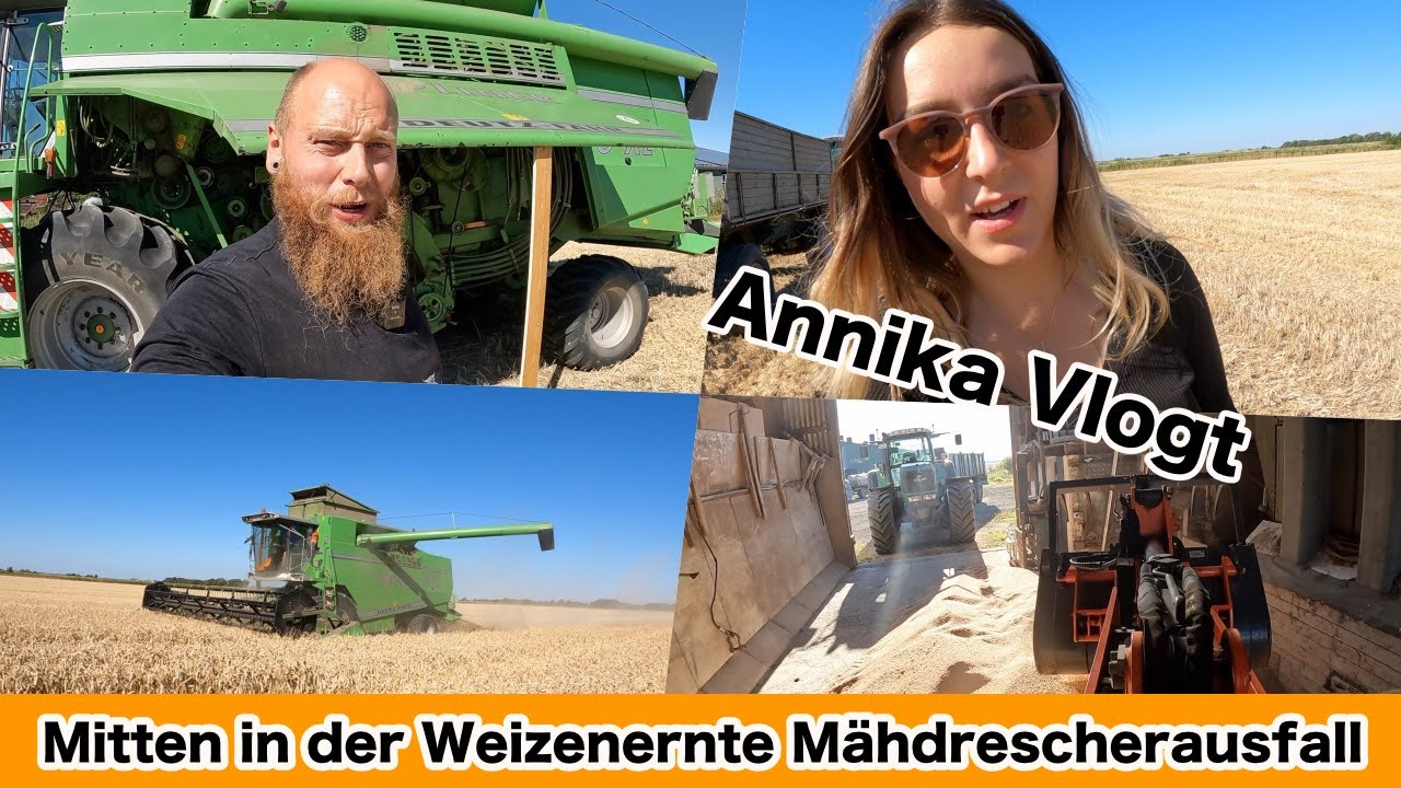 FarmVLOG#645 - Erster Ausfall beim Dreschen mitten in der Ernte