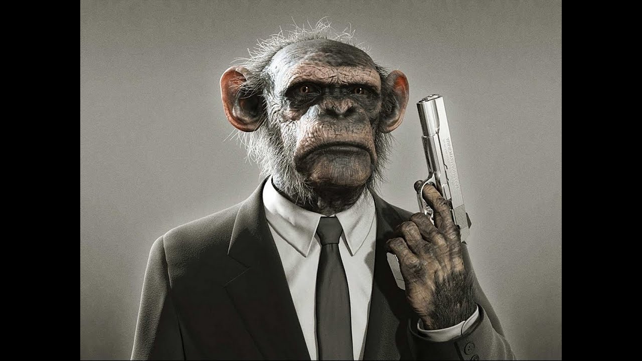 Similarities are not enough for Darwinism