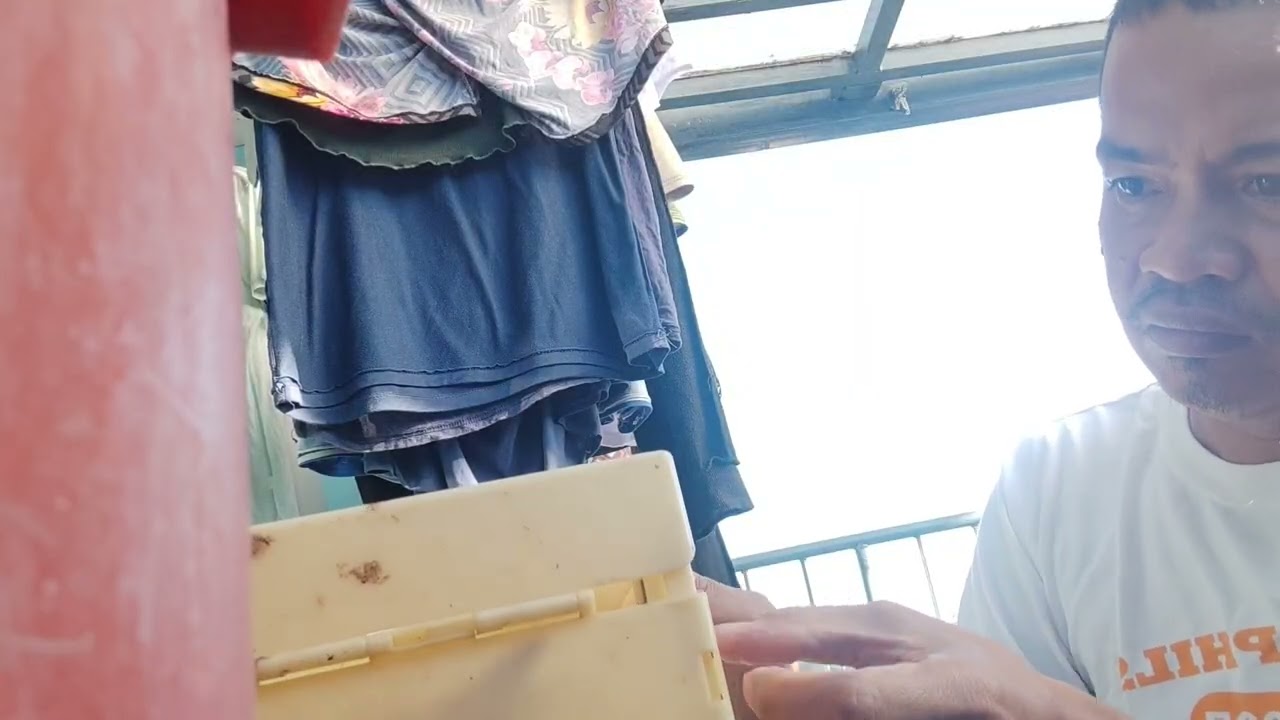 Nag hatid tayo Ng ibon para mabawasan na ibon natin/pinakawalan KO na SA malayo si dagit