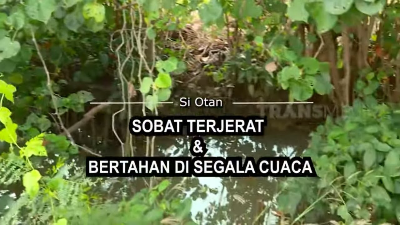 [FULL] Sobat Terjerat Dan Bertahan Di Segala Cuaca | SI OTAN (19/01/22)