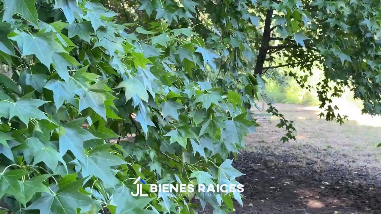 Terreno en venta en los Cardales Barrio San Jorge