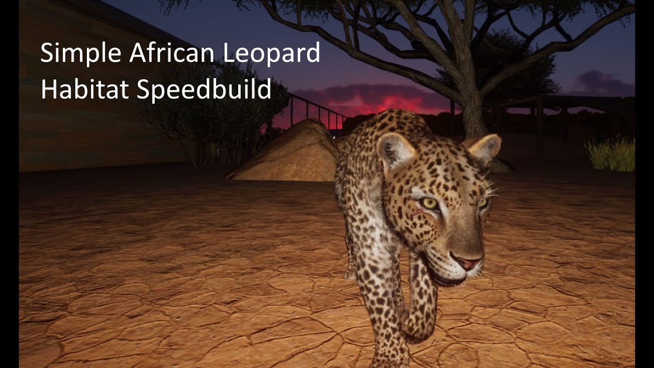 🐆 Simple African Leopard Habitat | Planet Zoo Speedbuild with DarkWolf46 🌿