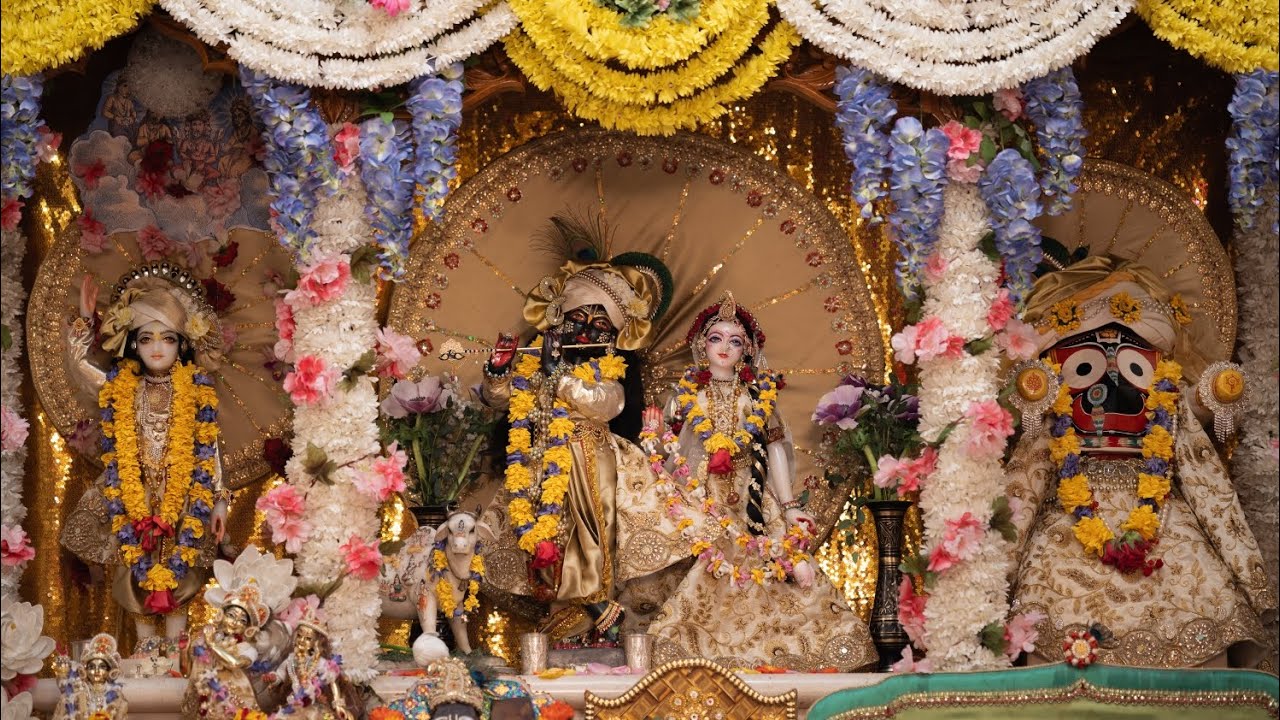 দোল উপলক্ষে মন্দিরে নাম - কীর্তন 🙏 শুভ দোলপূর্ণিমা 🙏 @BristyDebnath-dt1ee #happyholi #কীর্তন #দোল 