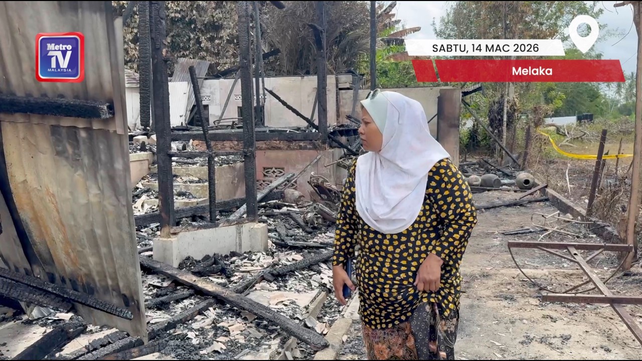 'Hanya 8 dari 30 anak bulus ditemui, apalah nasib mereka'