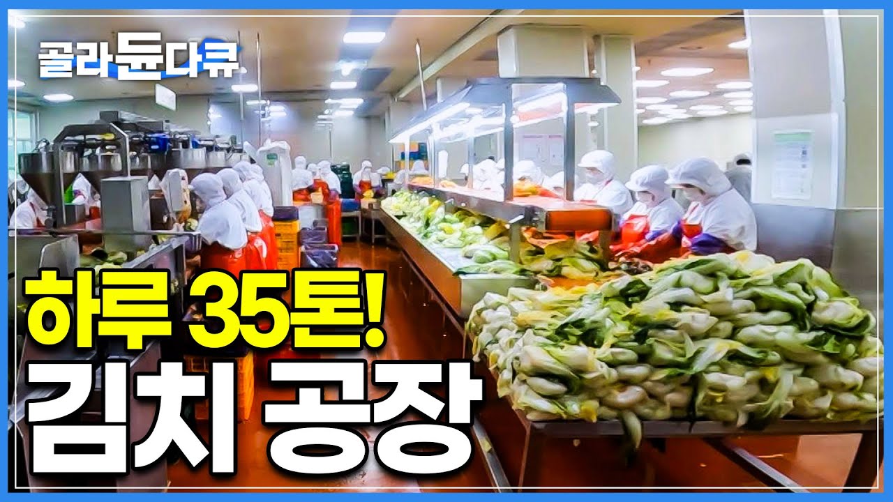 전 세계가 사랑하는 한국의 김치 대량 생산 과정! 해남에서 김치공장까지│극한직업│#골라듄다큐